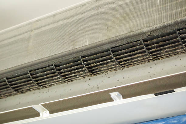 Best Local Air Duct Cleaning Services  in Greenwood, AR
